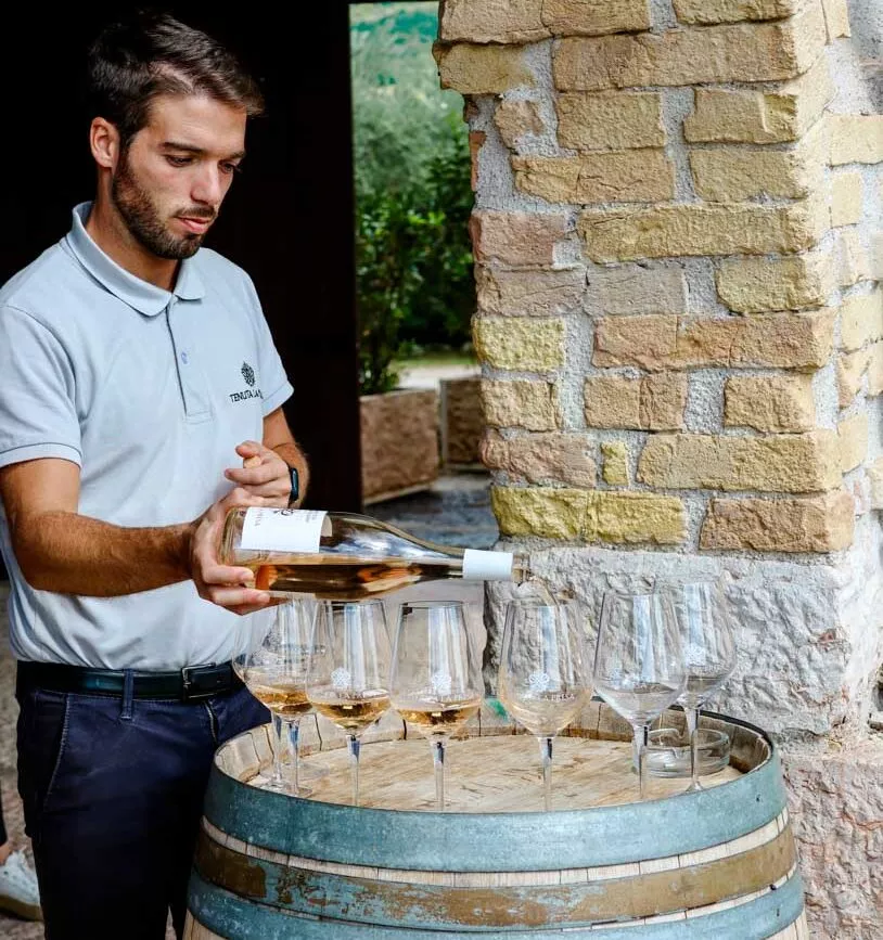 weintour am gardasee