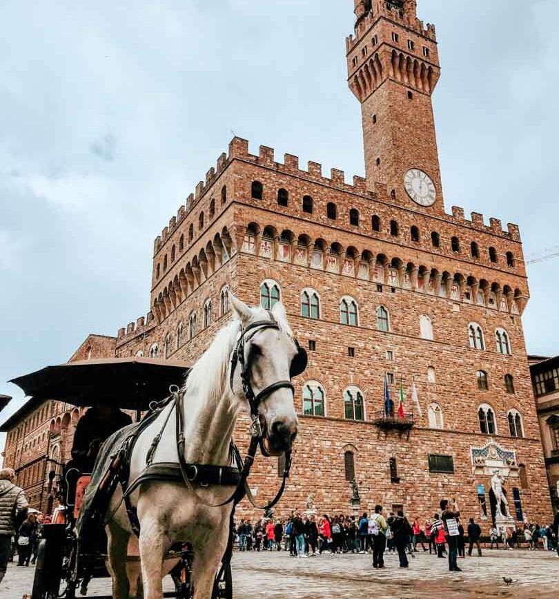 Florenz Palazzo Vecchio 2