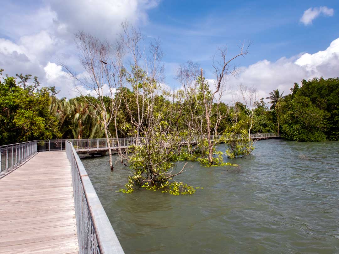singapur chek jawa wetlands