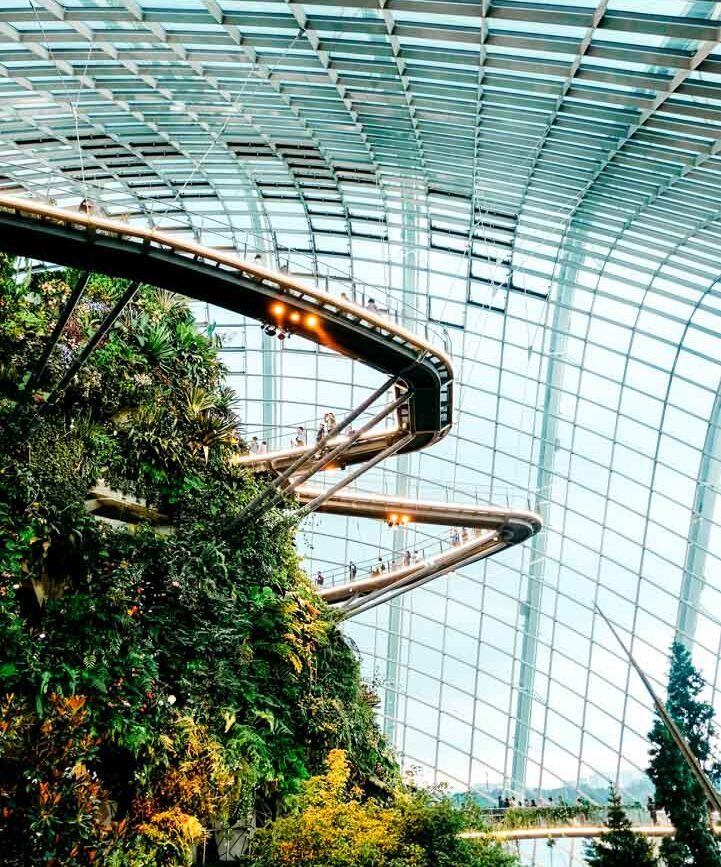 singapur cloud forest