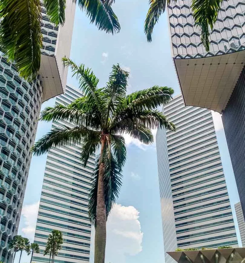 singapur duo towers in kampong gelam singapur duo towers in kampong gelam