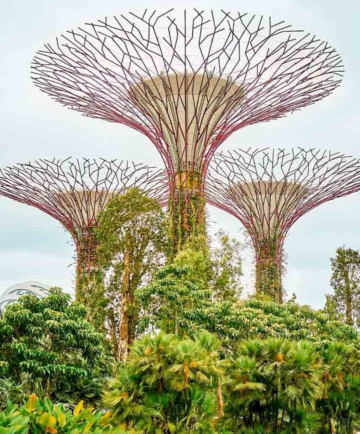 singapur supertree grove