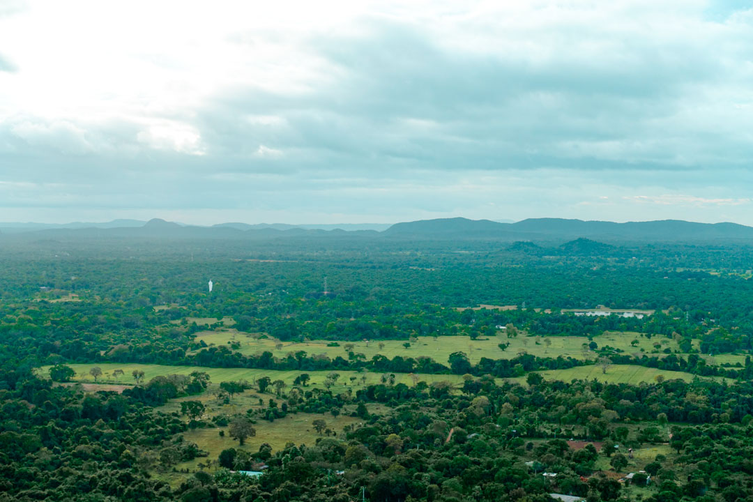Sri Lanka Sigiriya Aussicht auf die Umgebung von Pidurangala