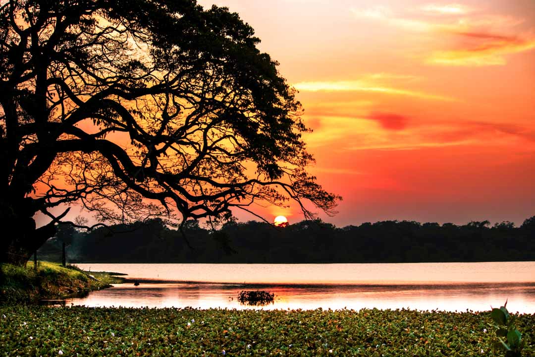 Sri Lanka Wilpattu National Park Sonnenaufgang im Nationalpark
