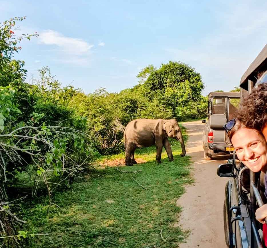 Sri Lanka Yala National Park Safari