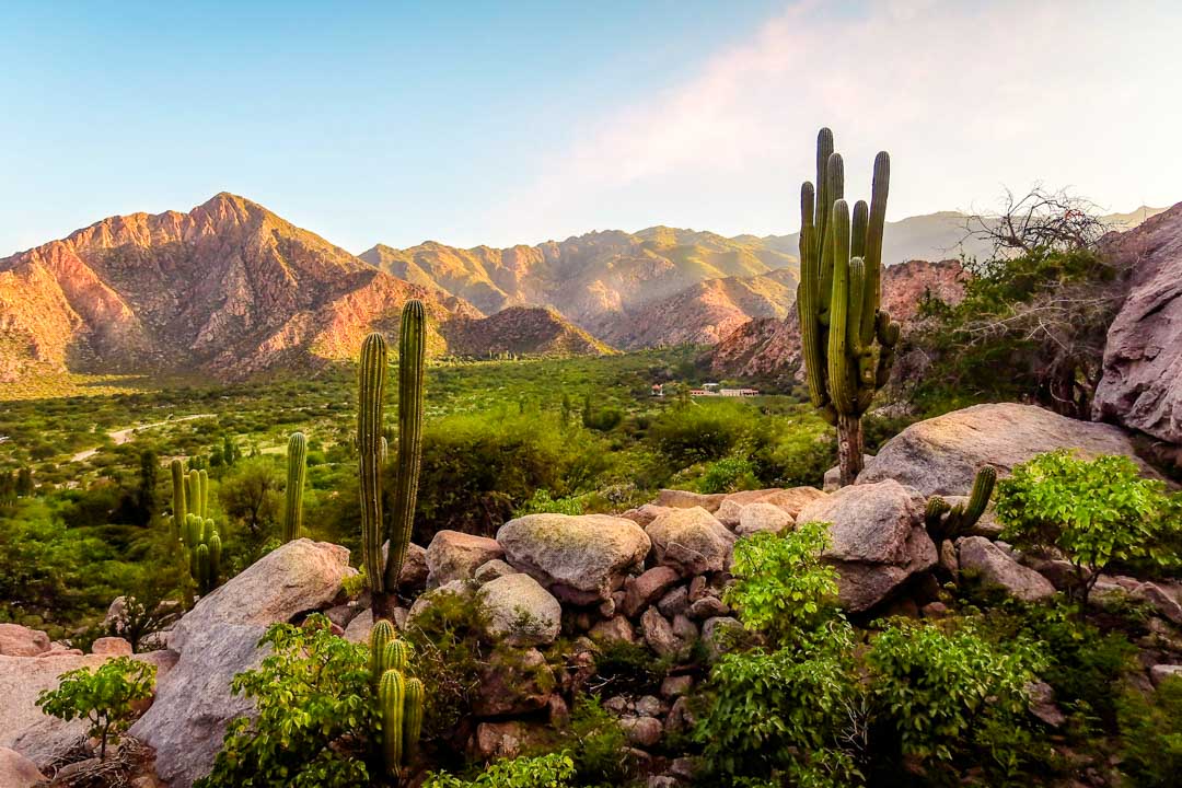 argentinien cafayate valles calchaquies 3