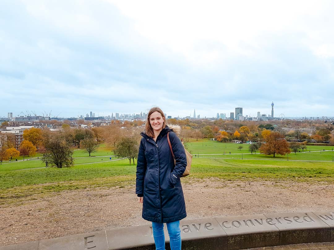 england london aussicht vom primerose hill england london aussicht vom primerose hill