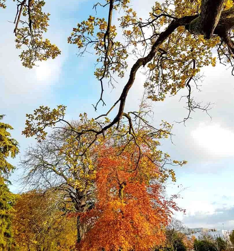 england london im herbst