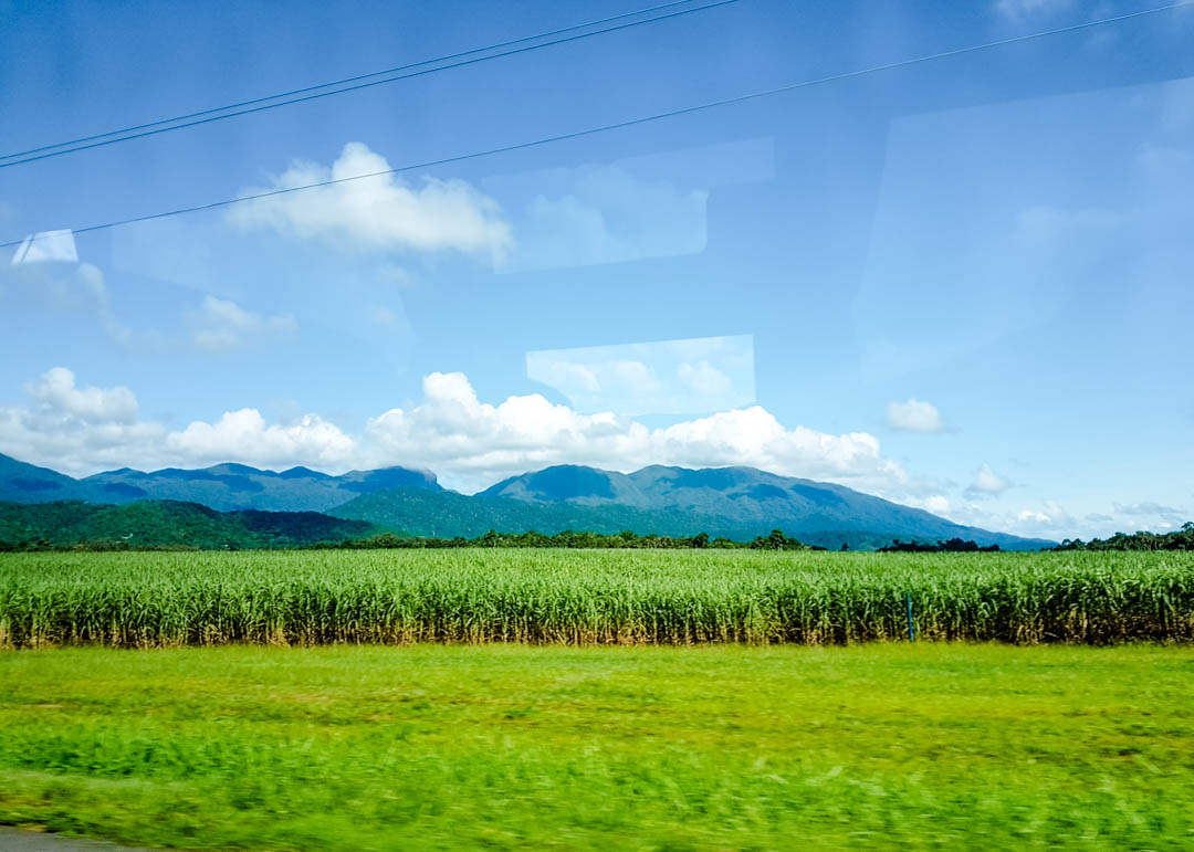 Australien Cairns Ausblick auf der Fahrt zum Daintree Nationalpark
