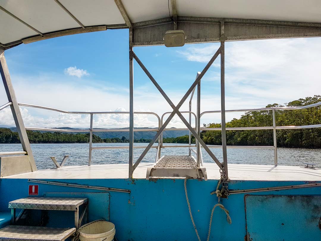 Australien Cairns Bootstour Daintree Fluss