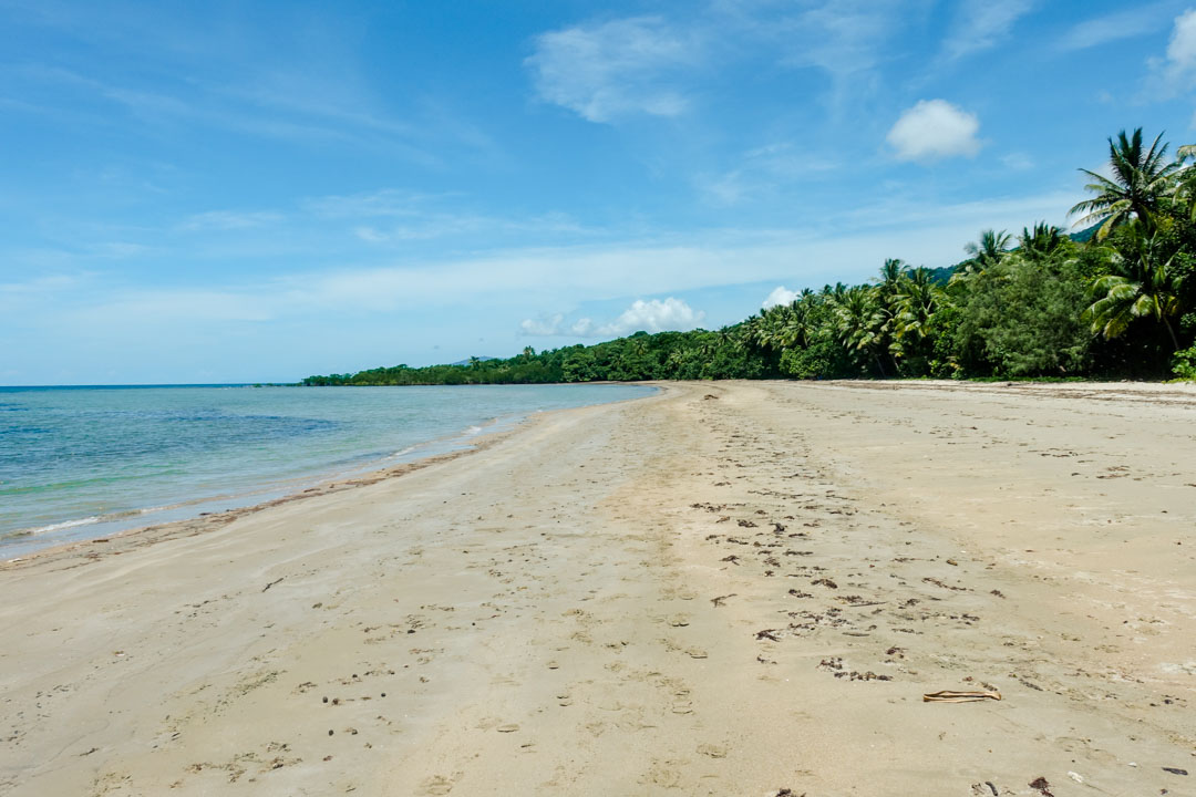 Australien Cairns Strand im Daintree National Park