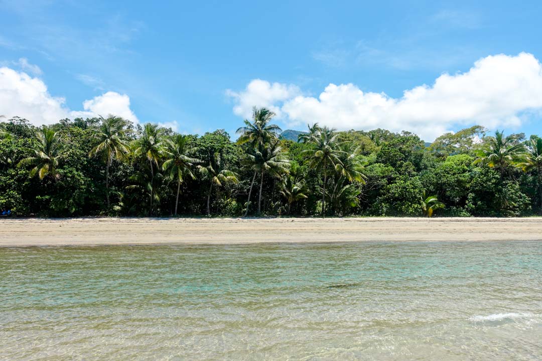 Australien Cairns Traumstrand im Daintree