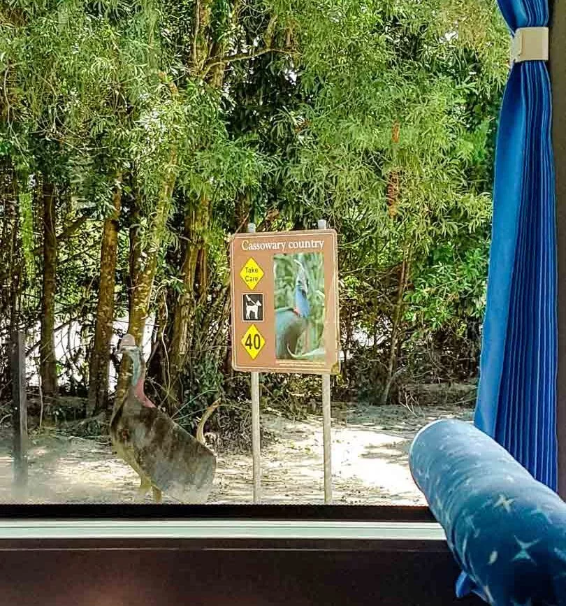 Australien Cairns Warnschild Vor Der Faehre 2