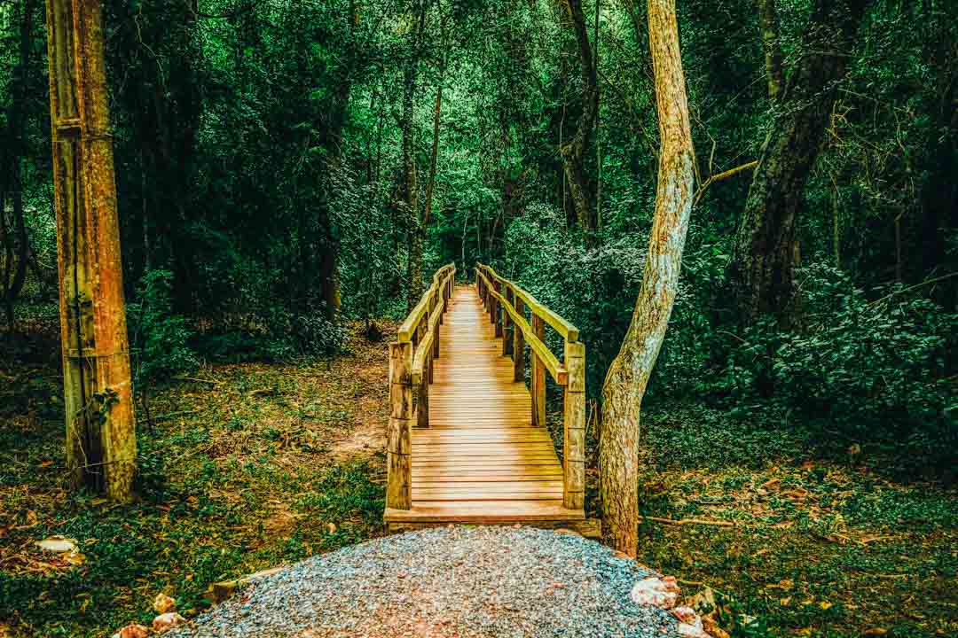 brasilien bonito estancia mimosa