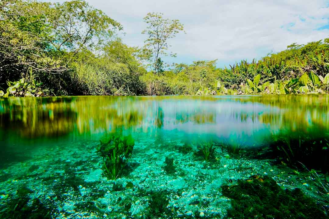brasilien bonito mato grosso do sul fluss