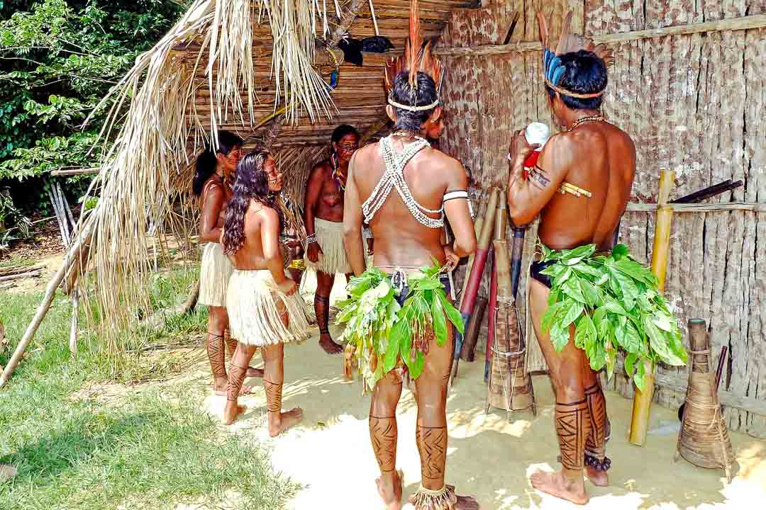 brasilien manaus amazonas indigenes dorf