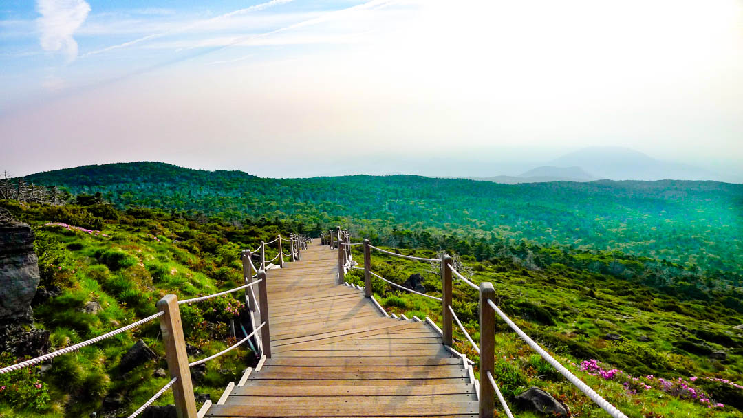 suedkorea jeju island hallasan wanderweg Südkorea Jeju Island Hallasan Wanderweg