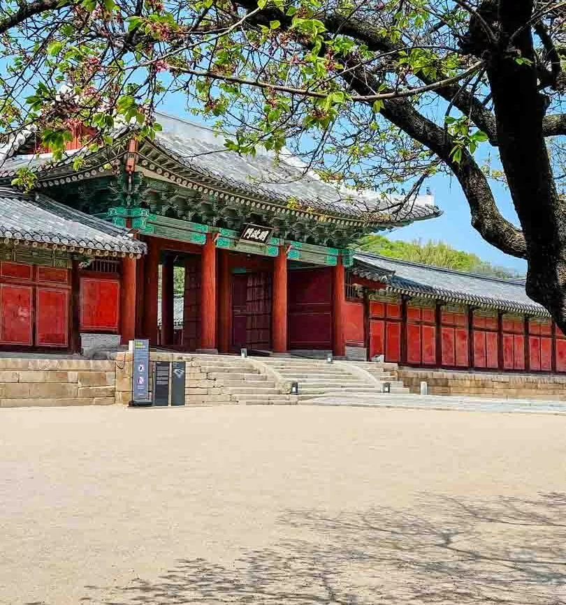 suedkorea seoul changdeokgung palace suedkorea seoul changdeokgung palace