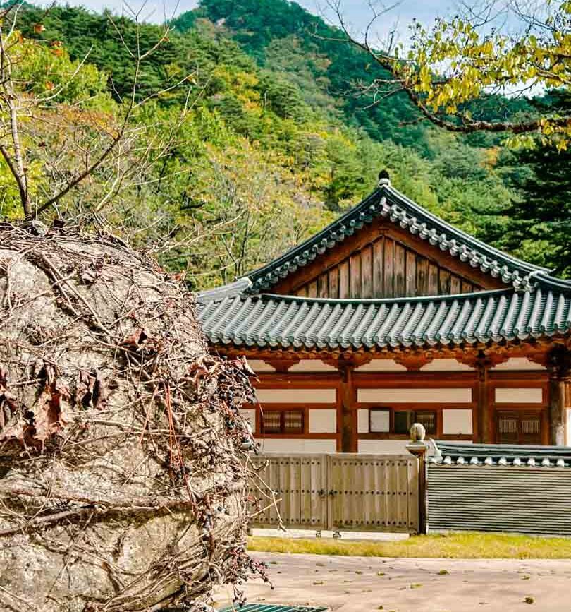 Südkorea Sokcho Tempel im Seoraksan National Park