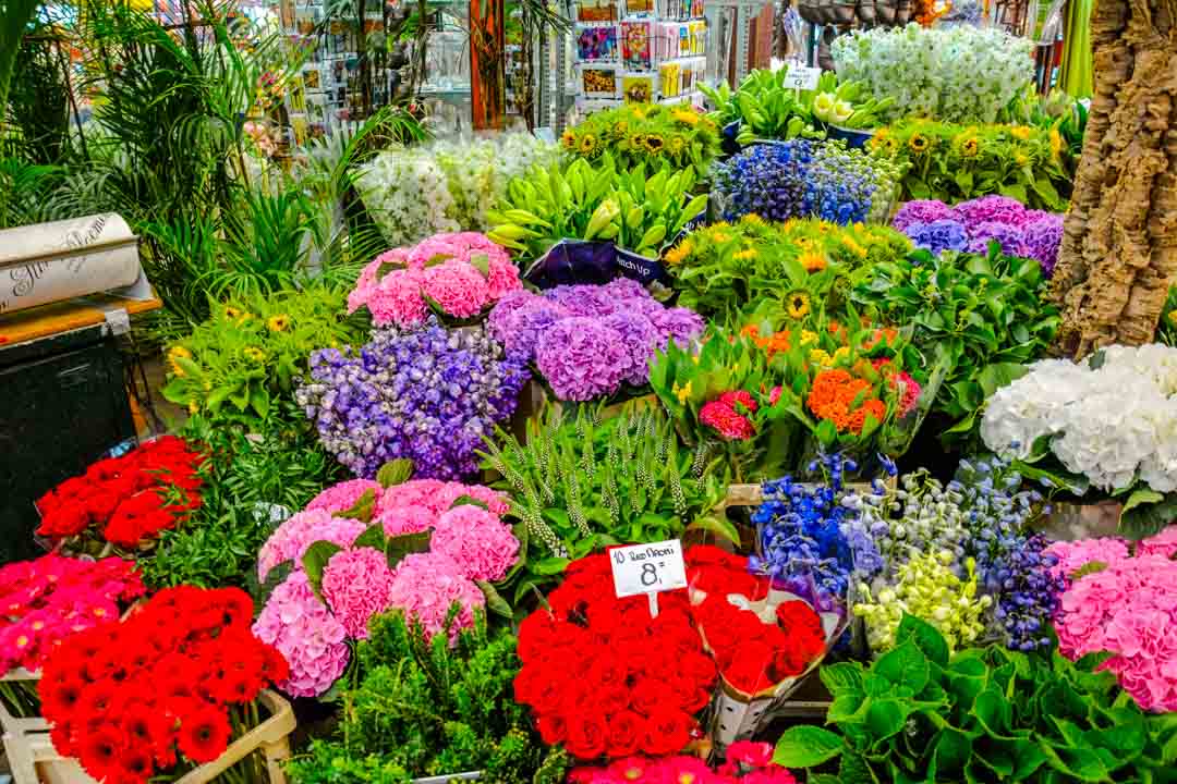 amsterdam staedtetrip albert cuyp markt 02