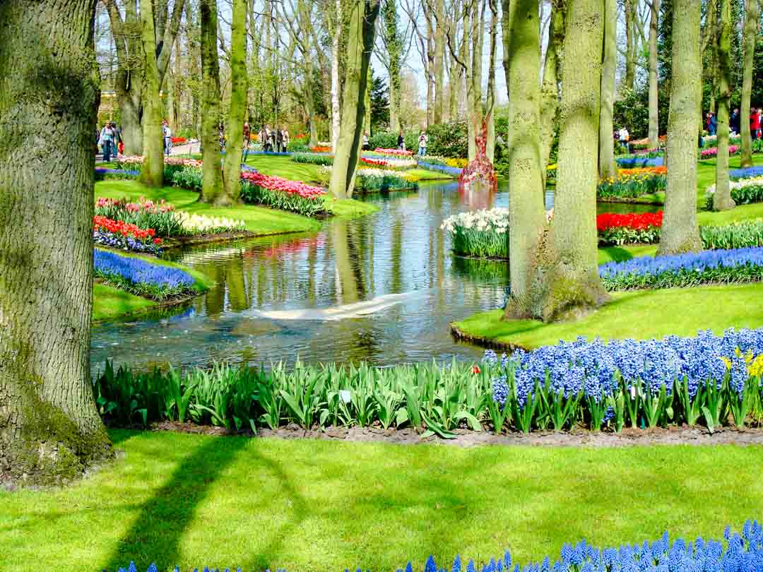 amsterdam staedtetrip keukenhof 01