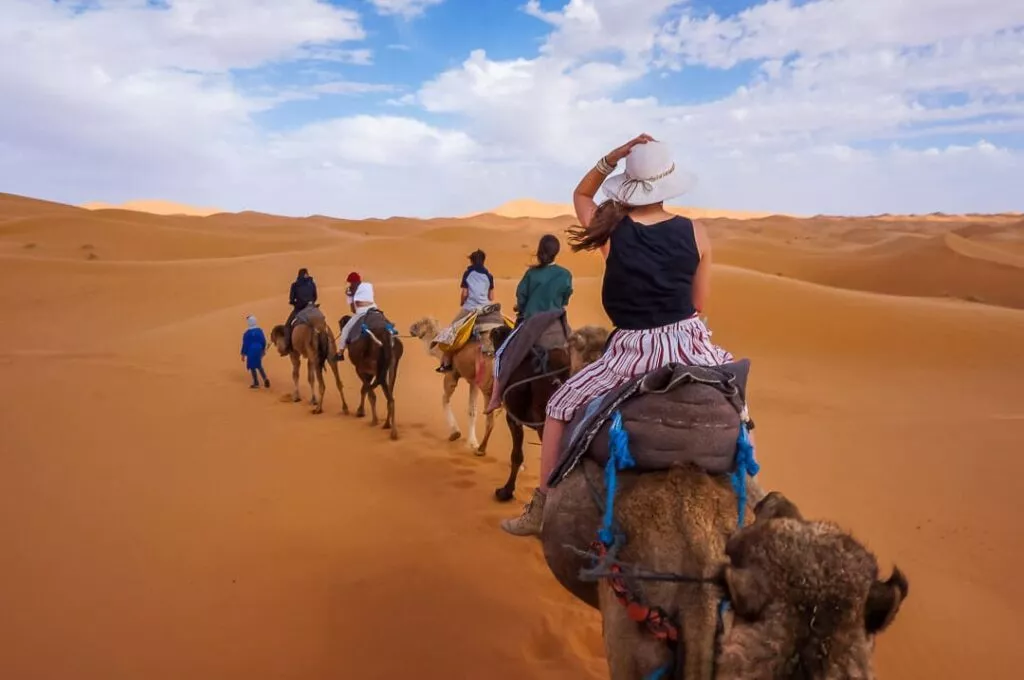 marokko kamelreiten 2 marokko kamelreiten 2