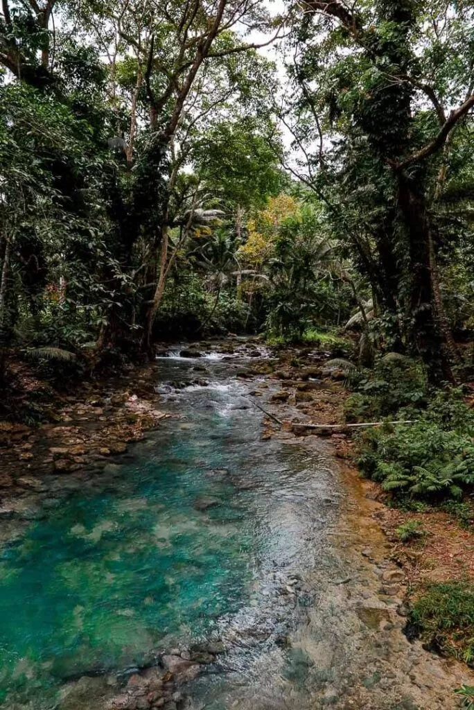 moalboal kawasan falls 3