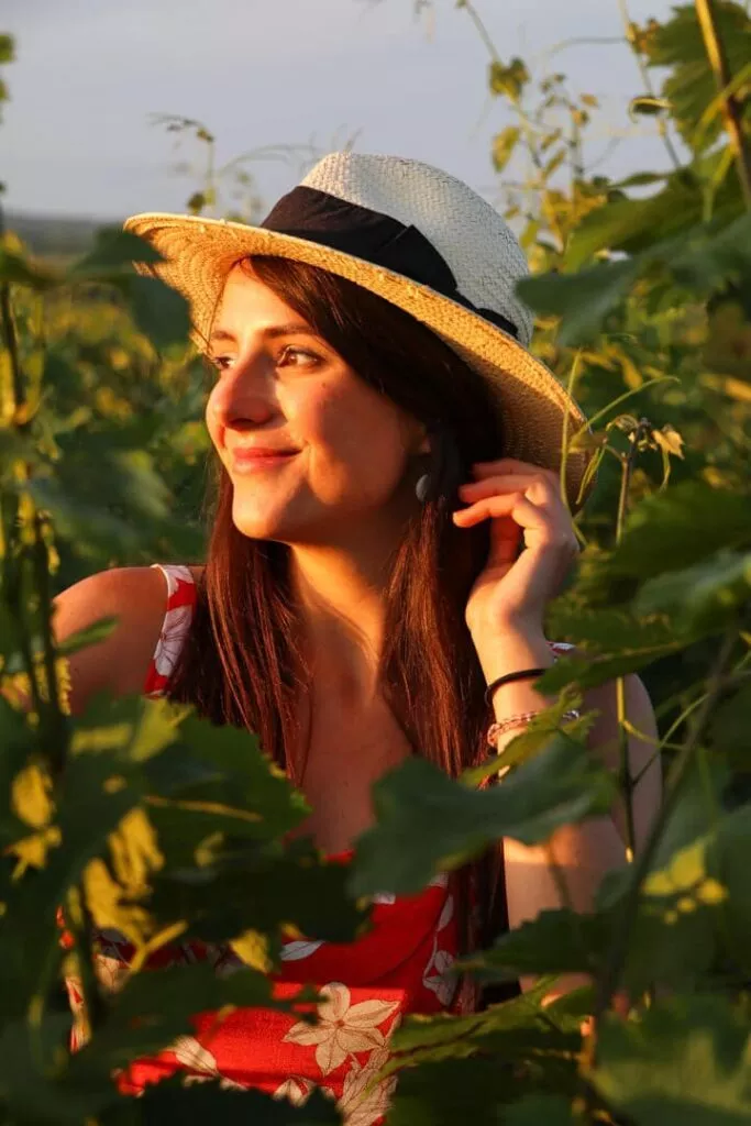 weinberge kachetien 3