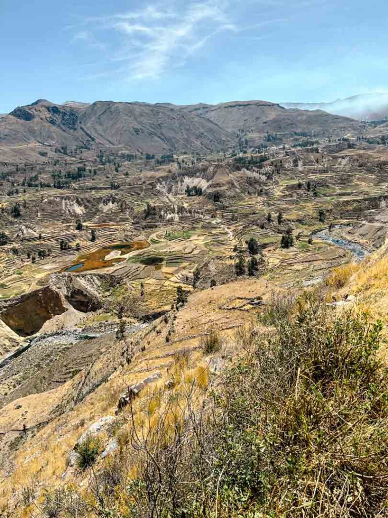 anbau terrassen schoener aussichtspunkt colca