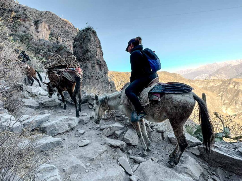 anstrengender aufstieg am tag 2 des colca canyon treks