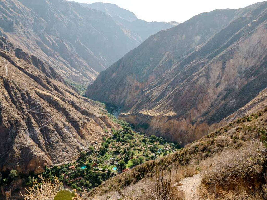 blick zurueck richtung oase beim aufstieg colca canyon wandeurng