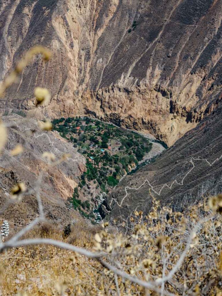 colca canyon wanderung 2 tage blick richtung oase