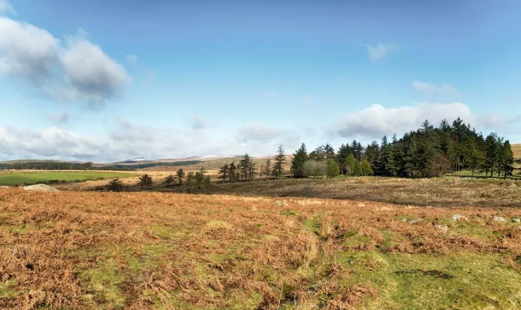 england dartmoor national park 2 england dartmoor national park 2