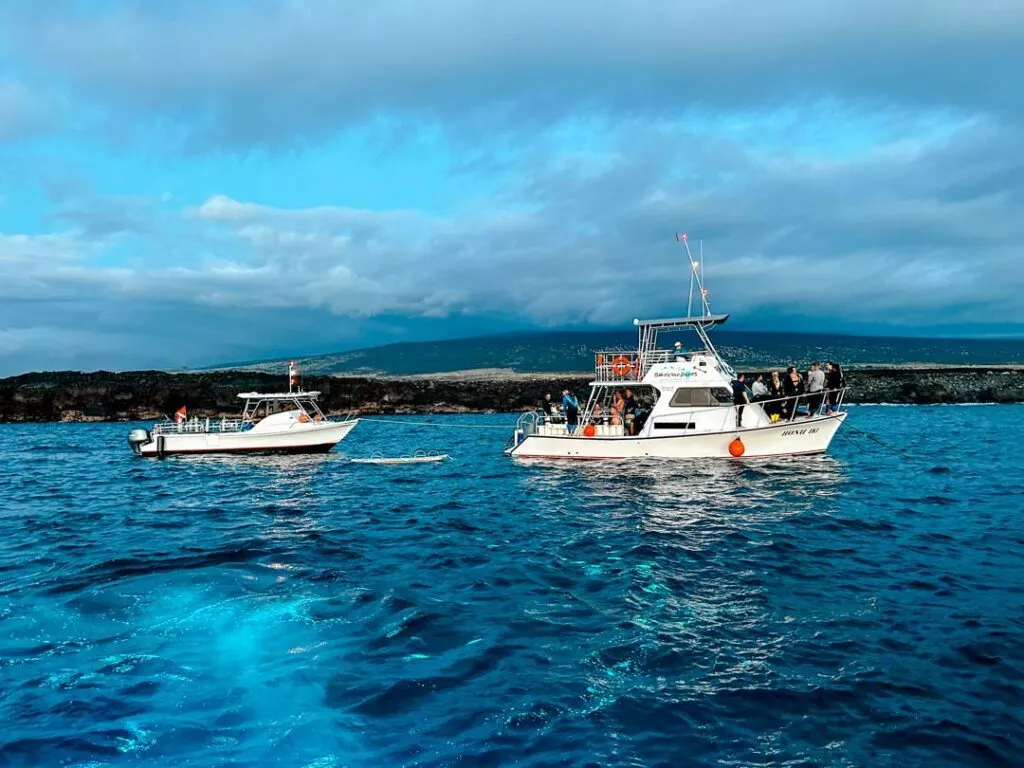 hawaii schnorcheln und tauchen mit mantas zum sonnenuntergang
