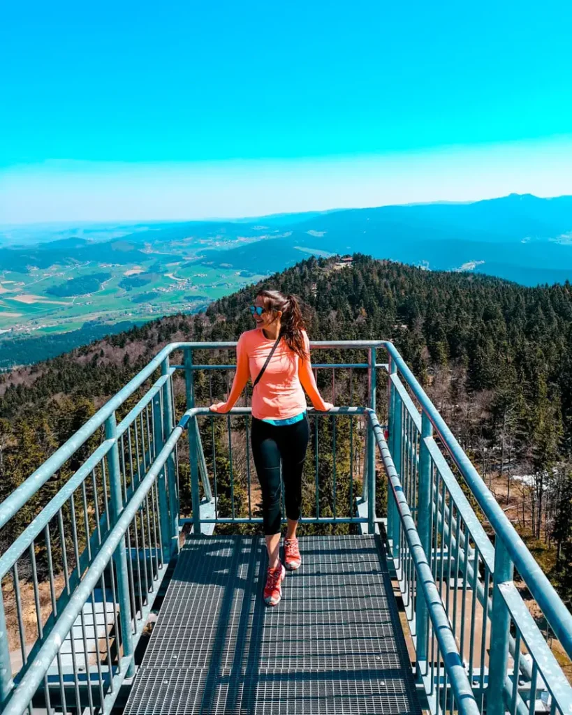 bayerischer wald nato tuerme aussicht