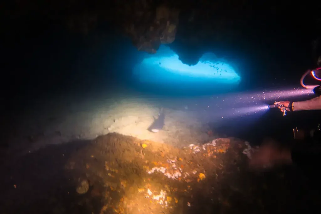 gato island hoehle shark