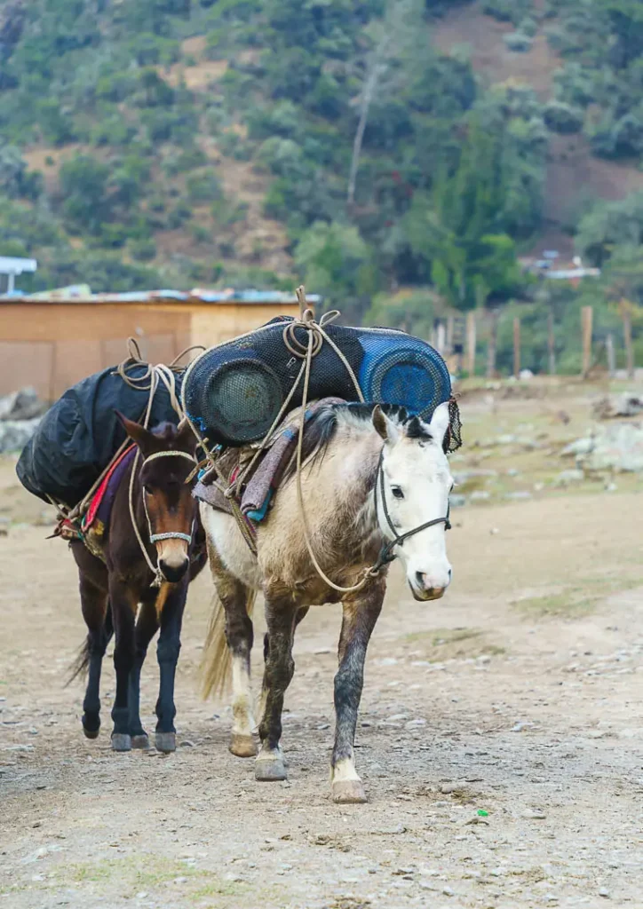 salkantay trek gepaecktraeger