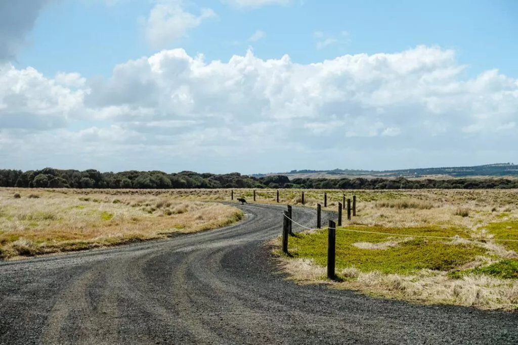 Australien Mietwagen Dirt Road