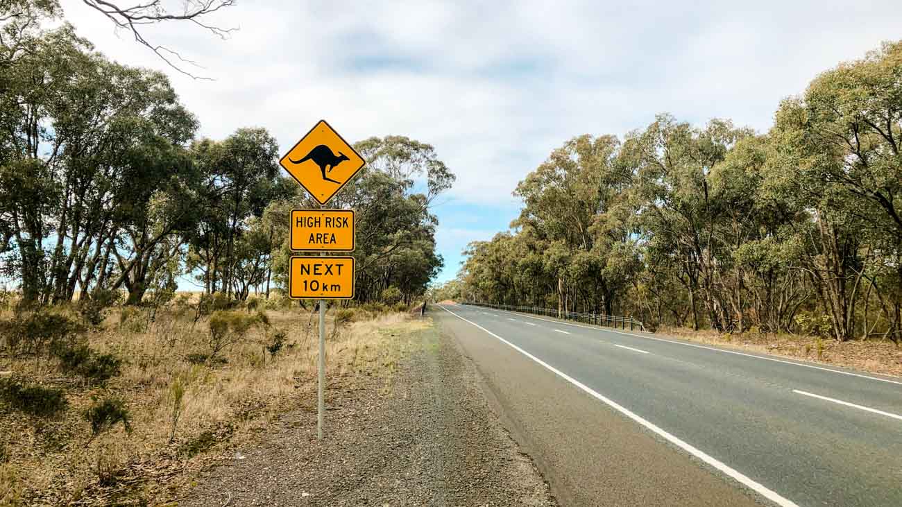 Beitragsbild Australien Mietwagen