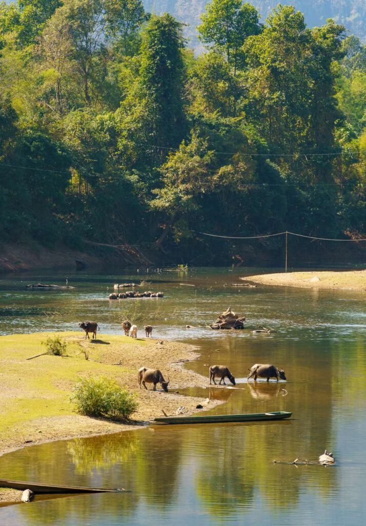 laos ausblick vom springriver resort