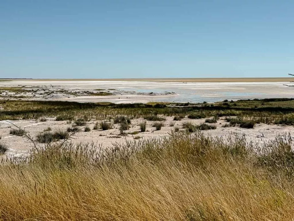 ausgetrocknete etosha salzpfanne namibia