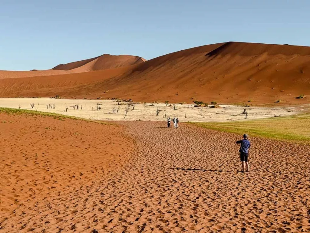 deadvlei als highlight bei jeder namibia rundreise