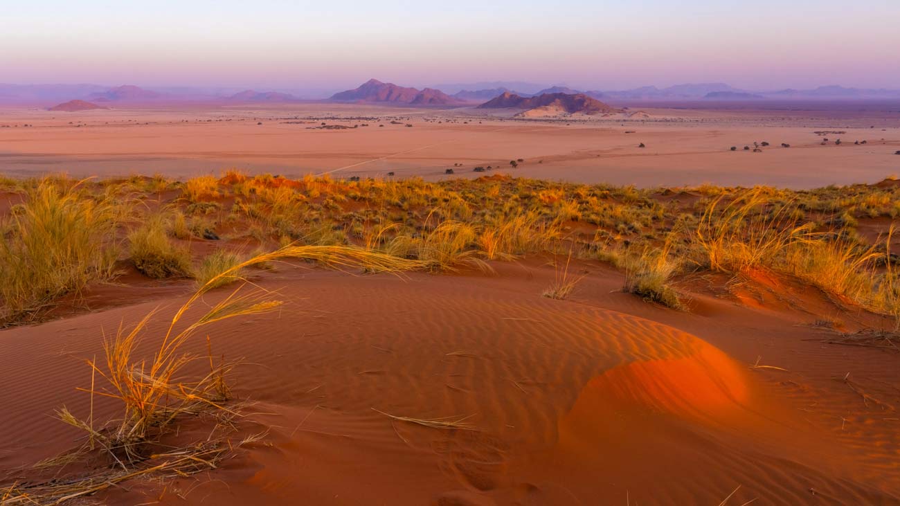 elim duene bei sossusvlei