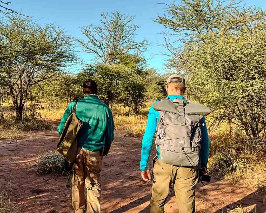 guide fuehrt uns zu fuss zu den nashoernern in waterberg