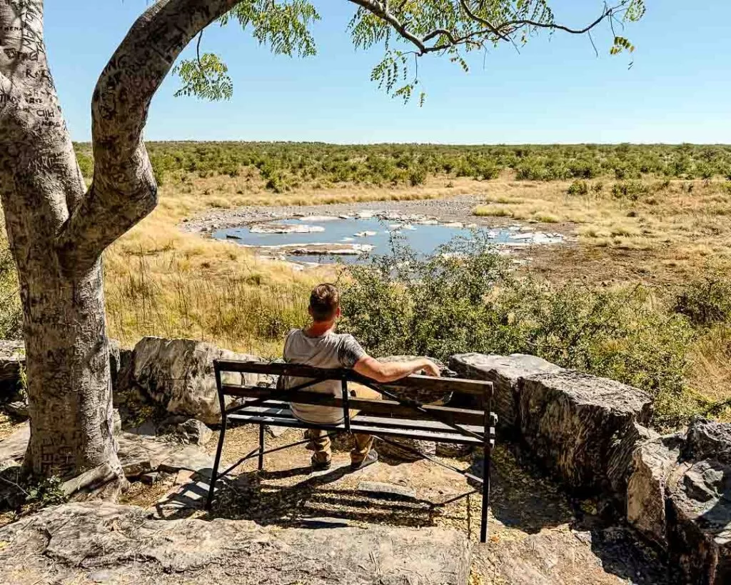 halali wasserloch tagsueber etosha nationalpark