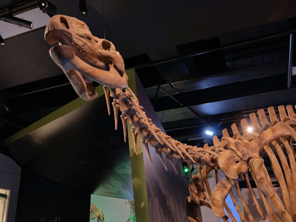 museumsbesuch naturkunde