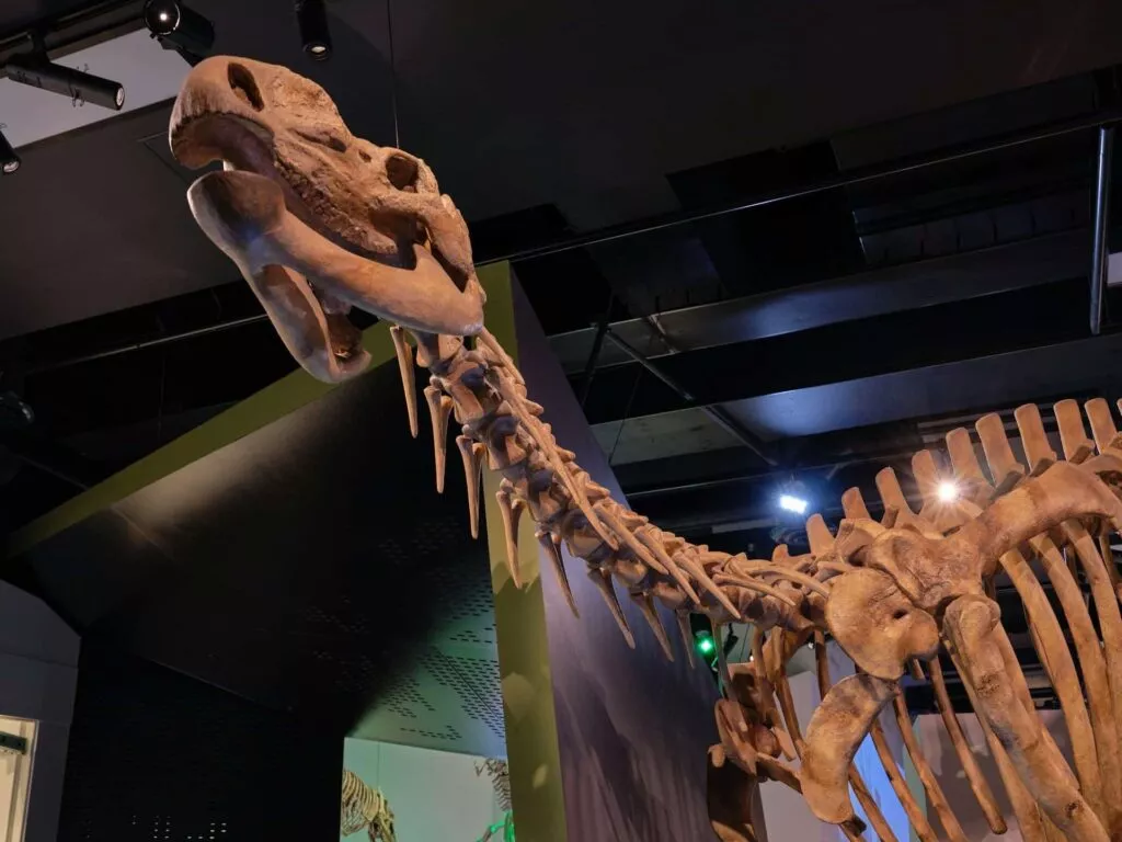 museumsbesuch naturkunde