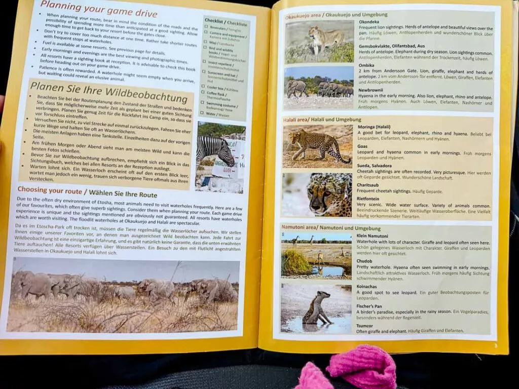 namibia etosha 74 von 89