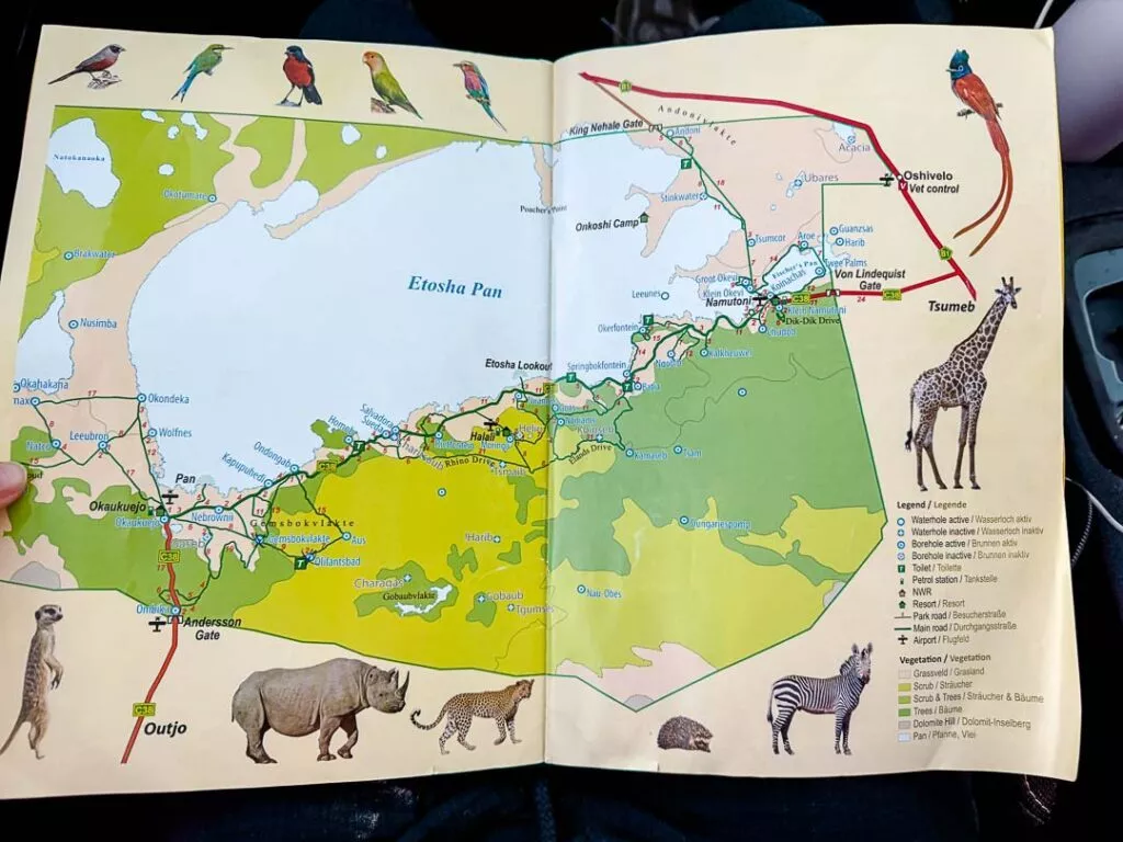 namibia etosha 76 von 89