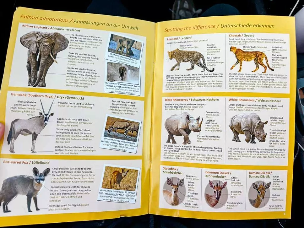 namibia etosha 77 von 89